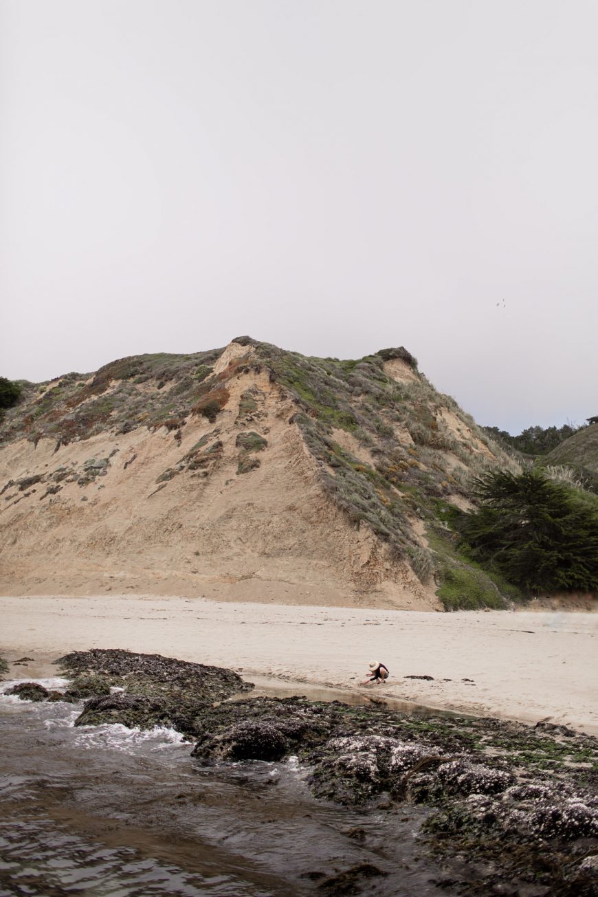 Greyhound Rock Beach Near Davenport California Hej Doll Simple