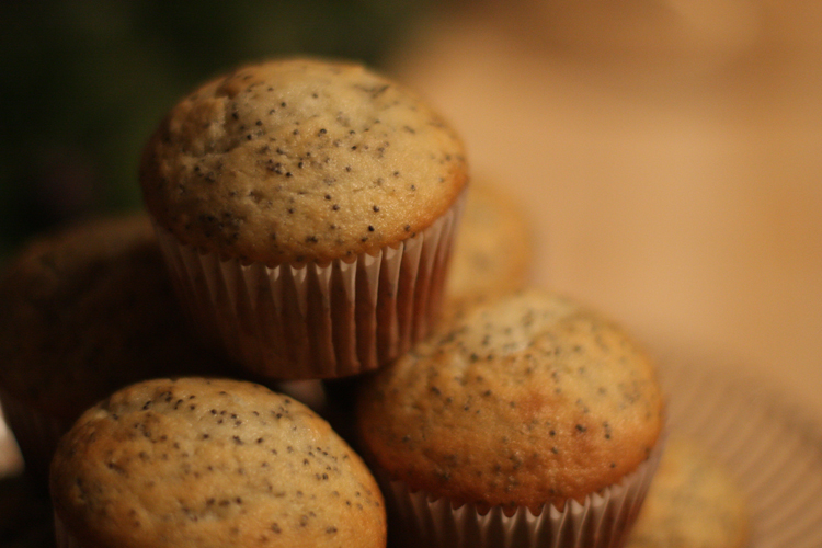 Delicious muffins!