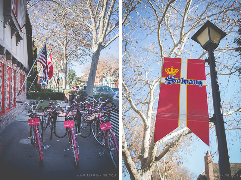 team-wiking-day-in-solvang-california-5