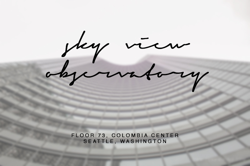 team-wiking-sky-view-observatory-colombia-center-seattle-washington-review-1