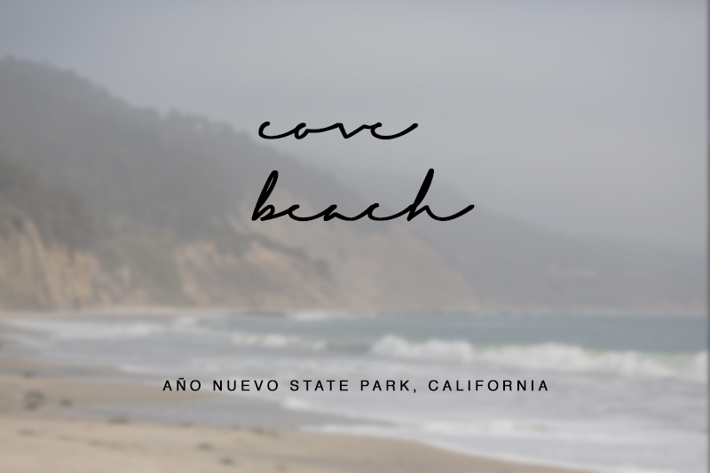 team-wiking-cove-beach-ano-nuevo-state-park-california-1
