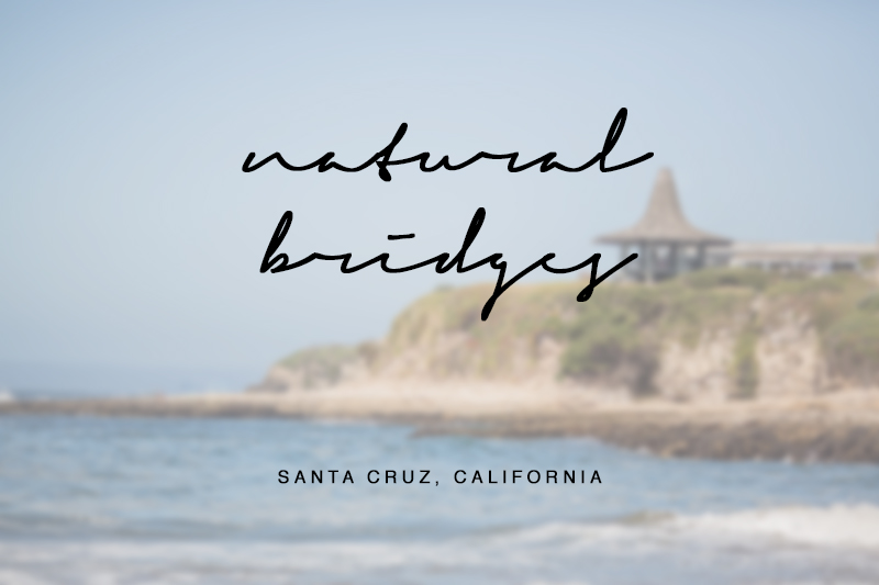 team-wiking-natural-bridges-santa-cruz-california-1