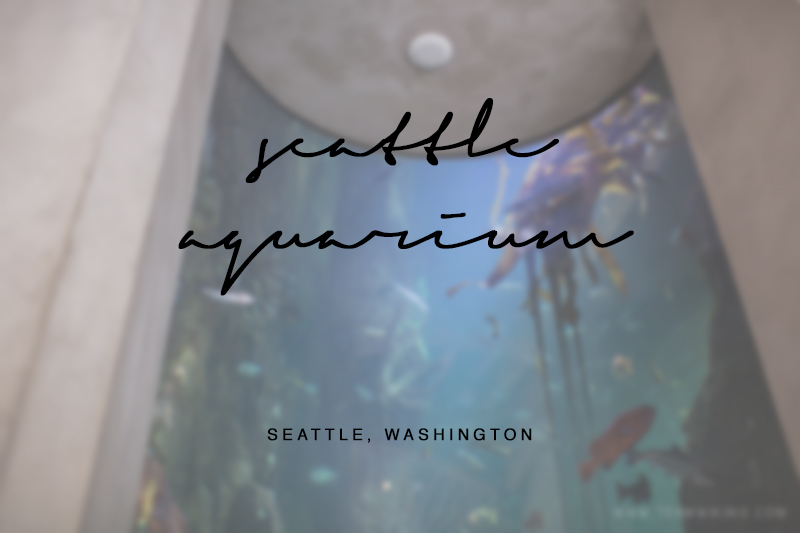team-wiking-seattle-aquarium-seattle-washington-1