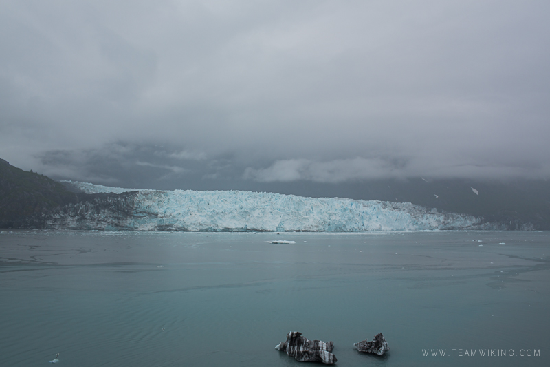 team-wiking-alaska-cruise-day-7-glacier-bay-10