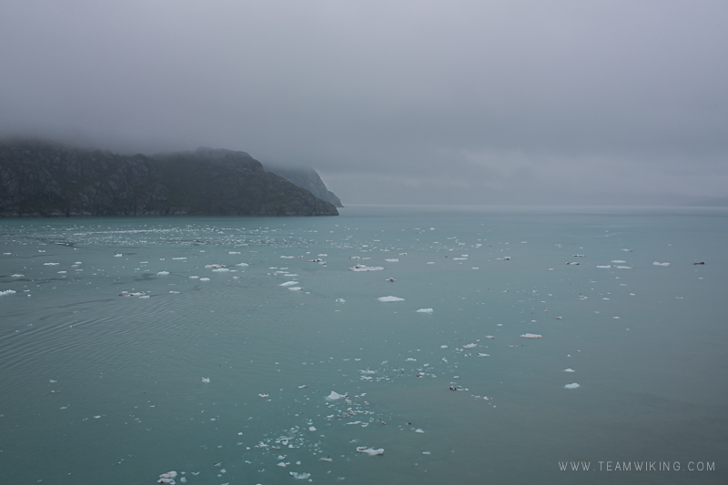 team-wiking-alaska-cruise-day-7-glacier-bay-15