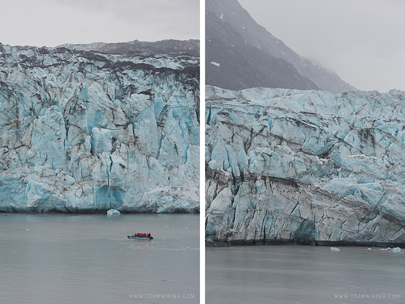team-wiking-alaska-cruise-day-7-glacier-bay-18