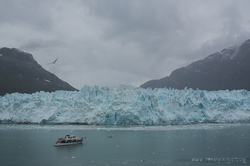 team-wiking-alaska-cruise-day-7-glacier-bay-3