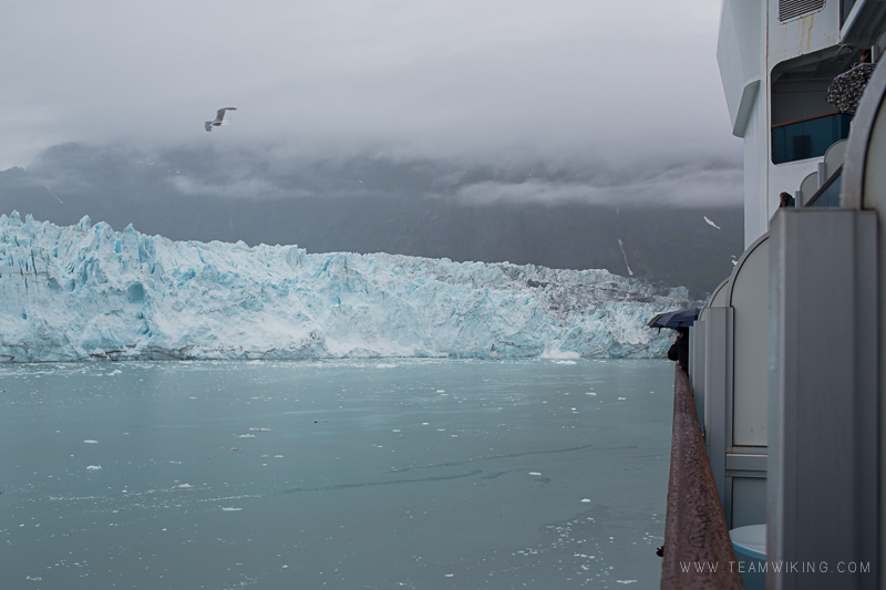 team-wiking-alaska-cruise-day-7-glacier-bay-8