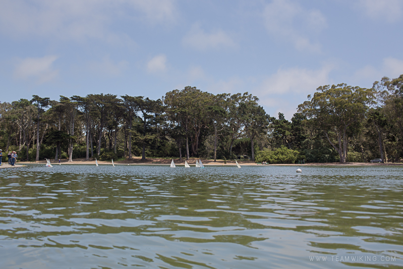 Spreckles Lake in Golden Gate Park / San Francisco, California