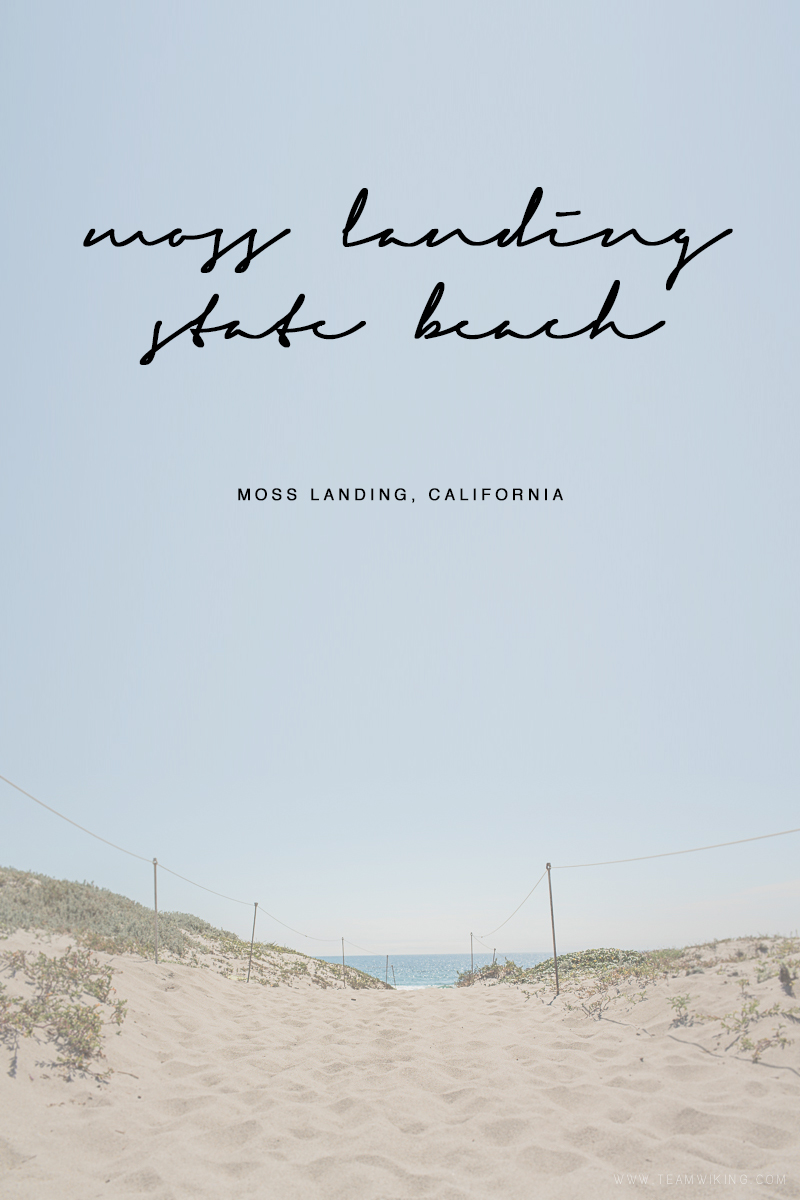 team-wiking-moss-landing-state-beach-california-1-a