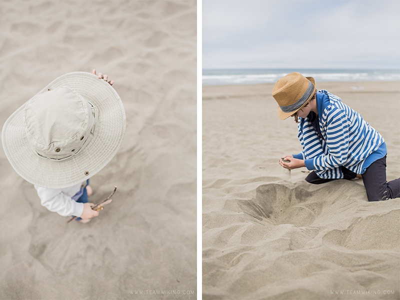 Ocean Beach San Francisco California Hej Doll Simple Modern