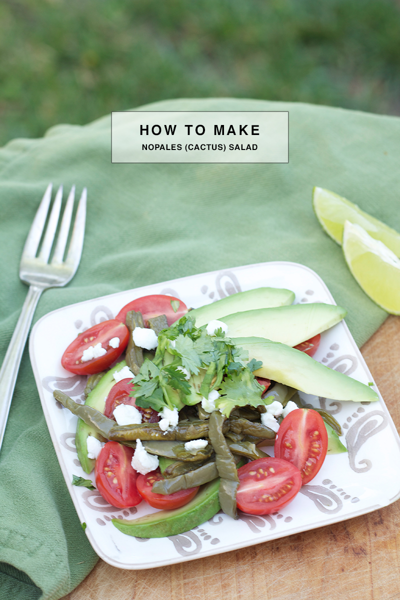 How to Make Nopales (Cactus) Salad