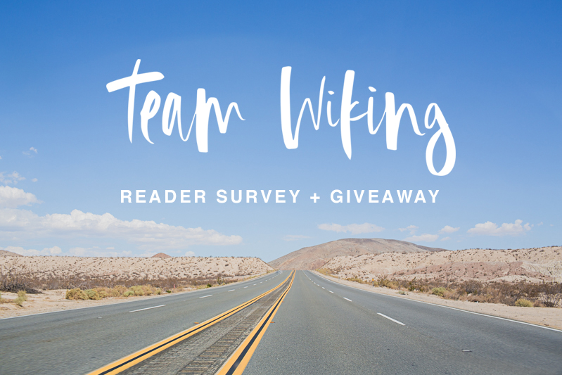 team-wiking-new-survey-giveaway