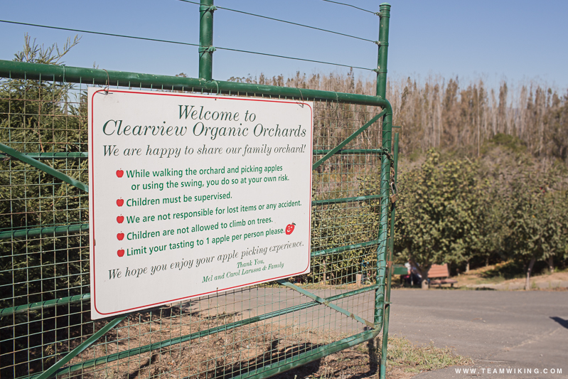 Clearview Organic Orchards in Watsonville, California
