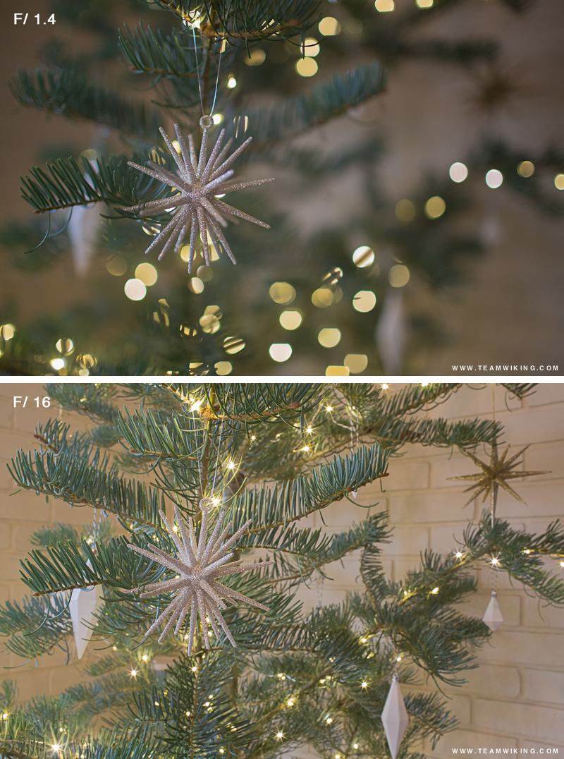 Bokeh aperture difference.