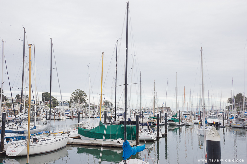 Sailing in Santa Cruz, California