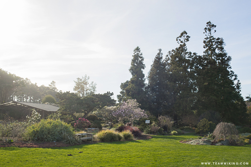 Mendocino Coast Botanical Gardens in Mendocino, California