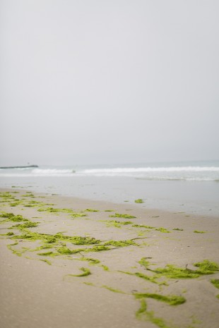 Fog at Moss Landing State Beach, in Moss Landing, California