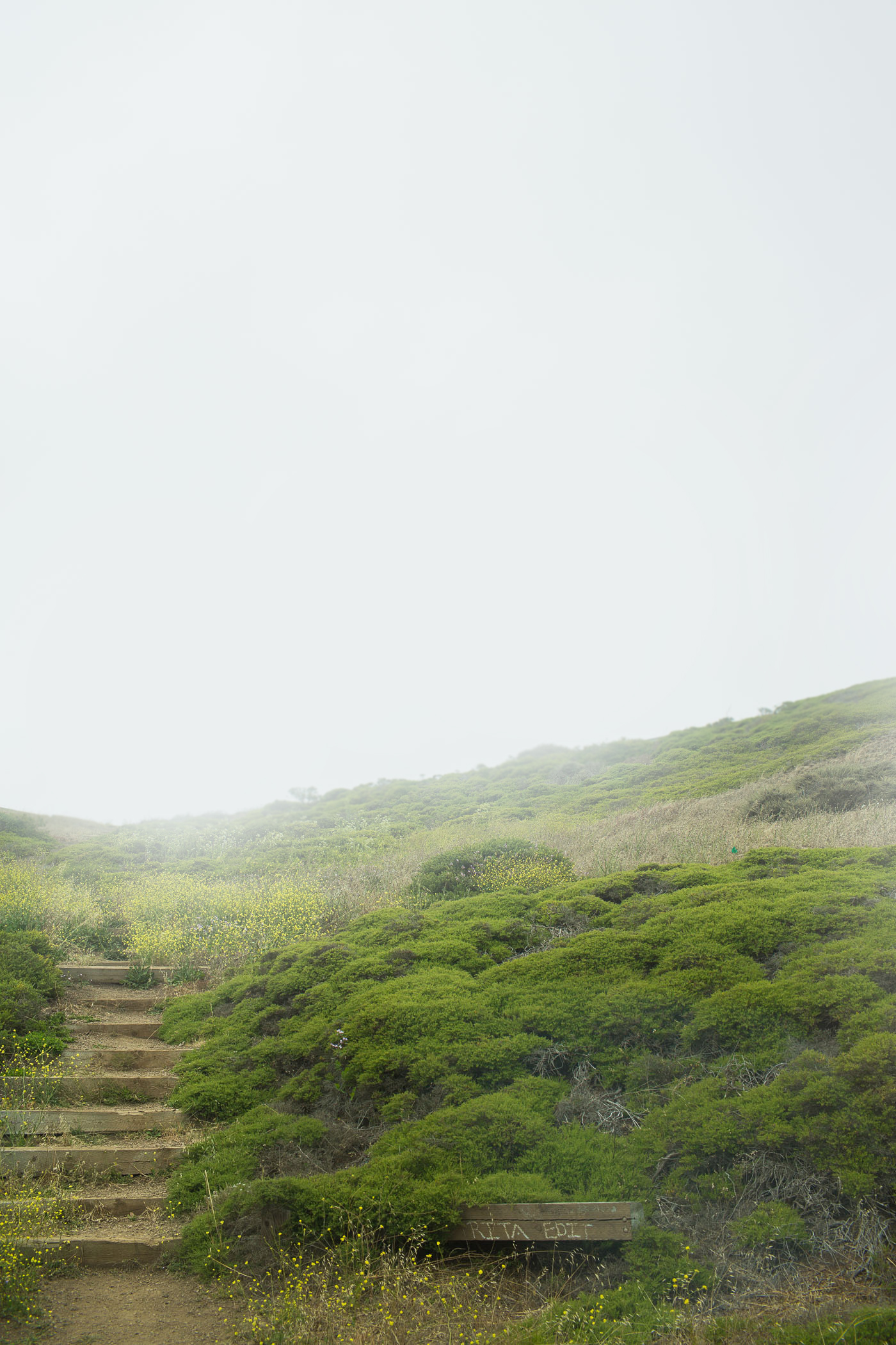 Foggy Twin Peaks in San Francisco, California