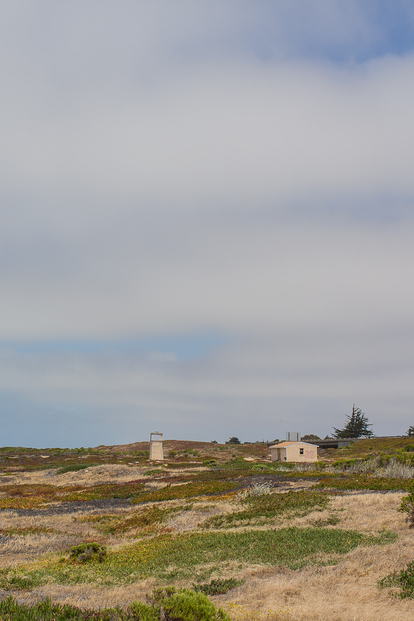 Fort Ord Dunes near Monterey, California