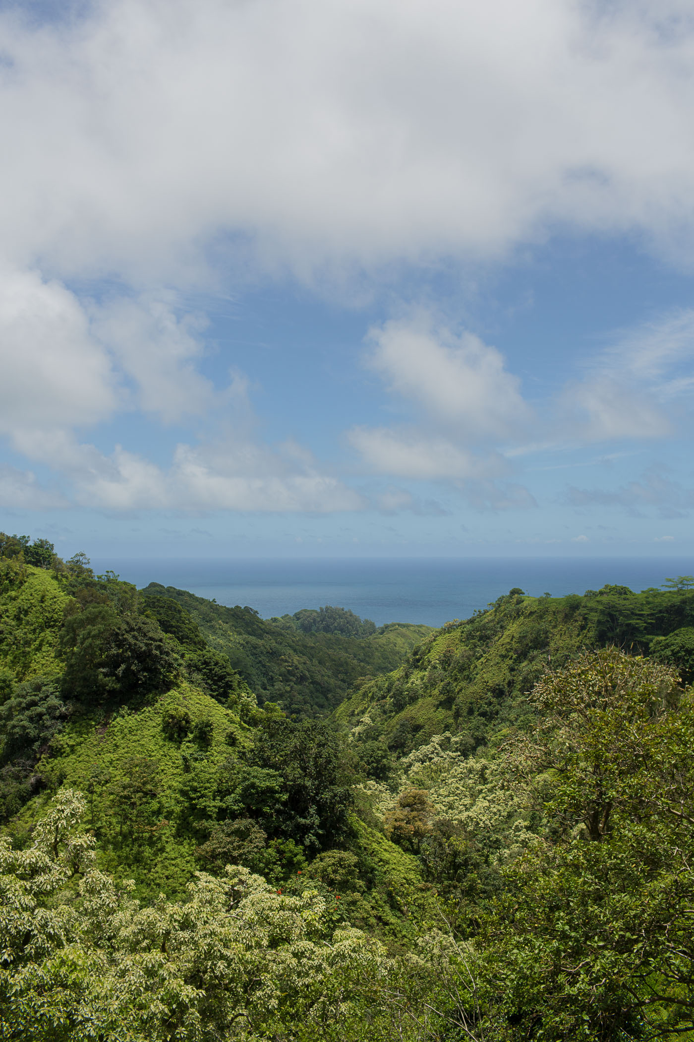 Road to Hana on Island of Maui