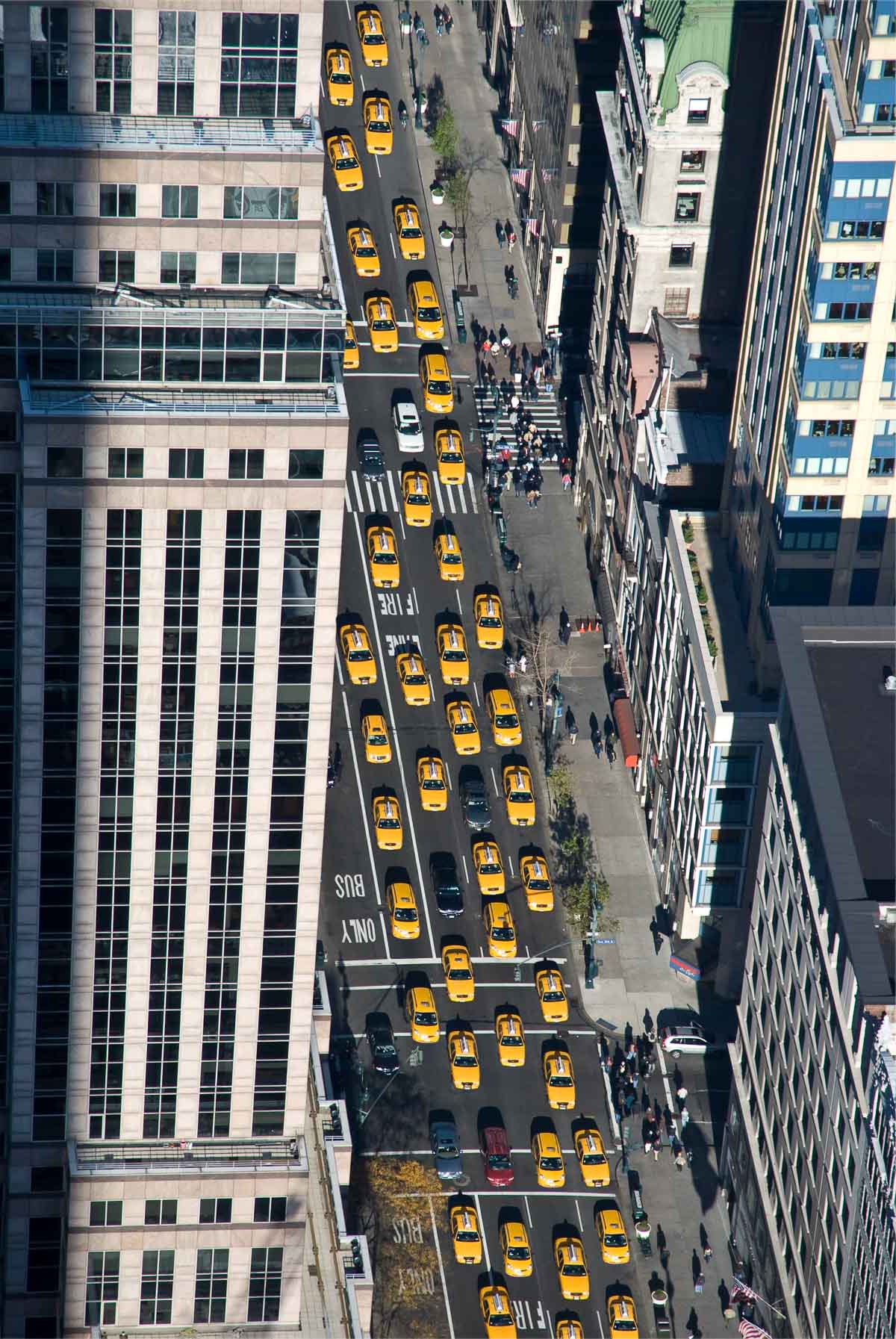 Taxi Line in NYC