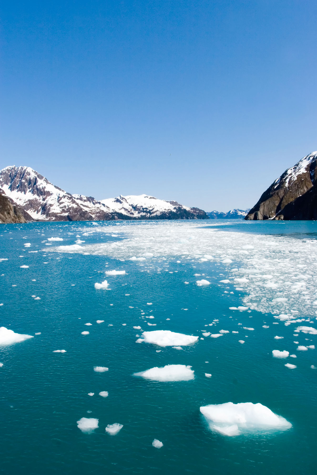 Glacier meltwater in Alaska