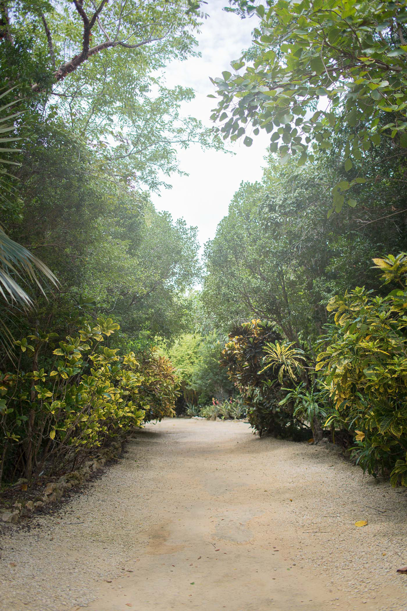 Botanic Park on Grand Cayman Island