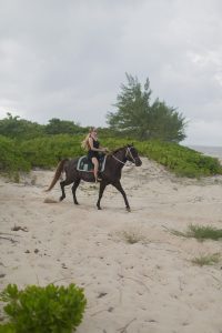 Riding horses on the beach in Grand Cayman