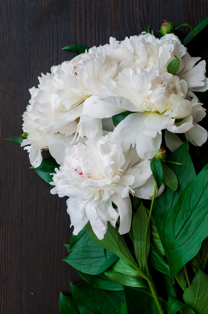 5 Tips To Photograph Flowers Hej Doll Simple modern living by
