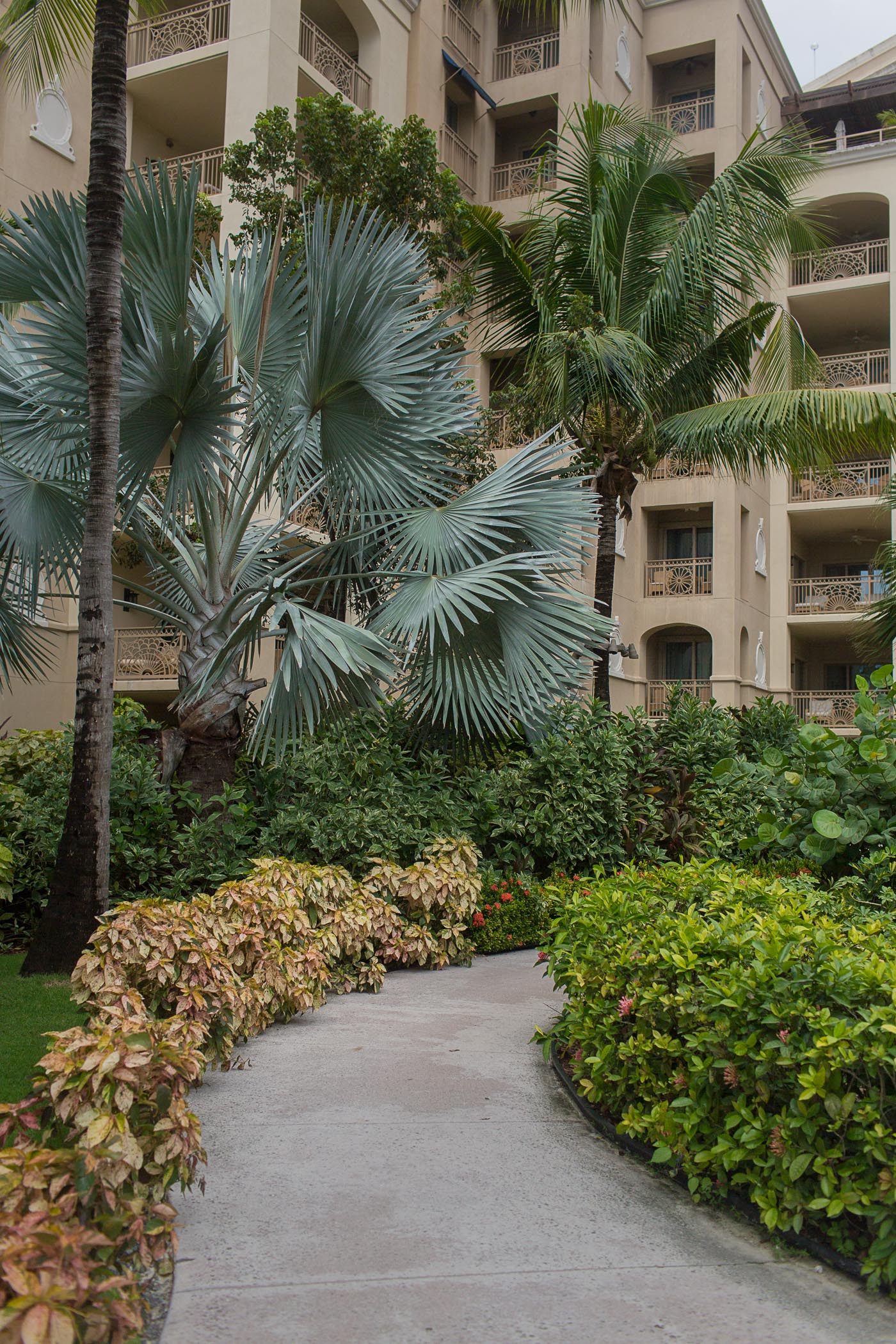 Landscaping at Ritz-Carlton in Grand Cayman