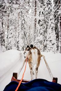 2016 Travel Wishlist, Finnish Lapland