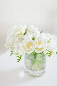 White Freesia Flowers