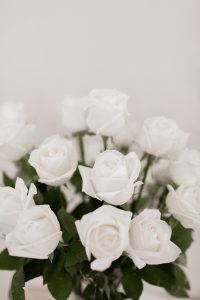 Beautiful white roses for Valentines Day