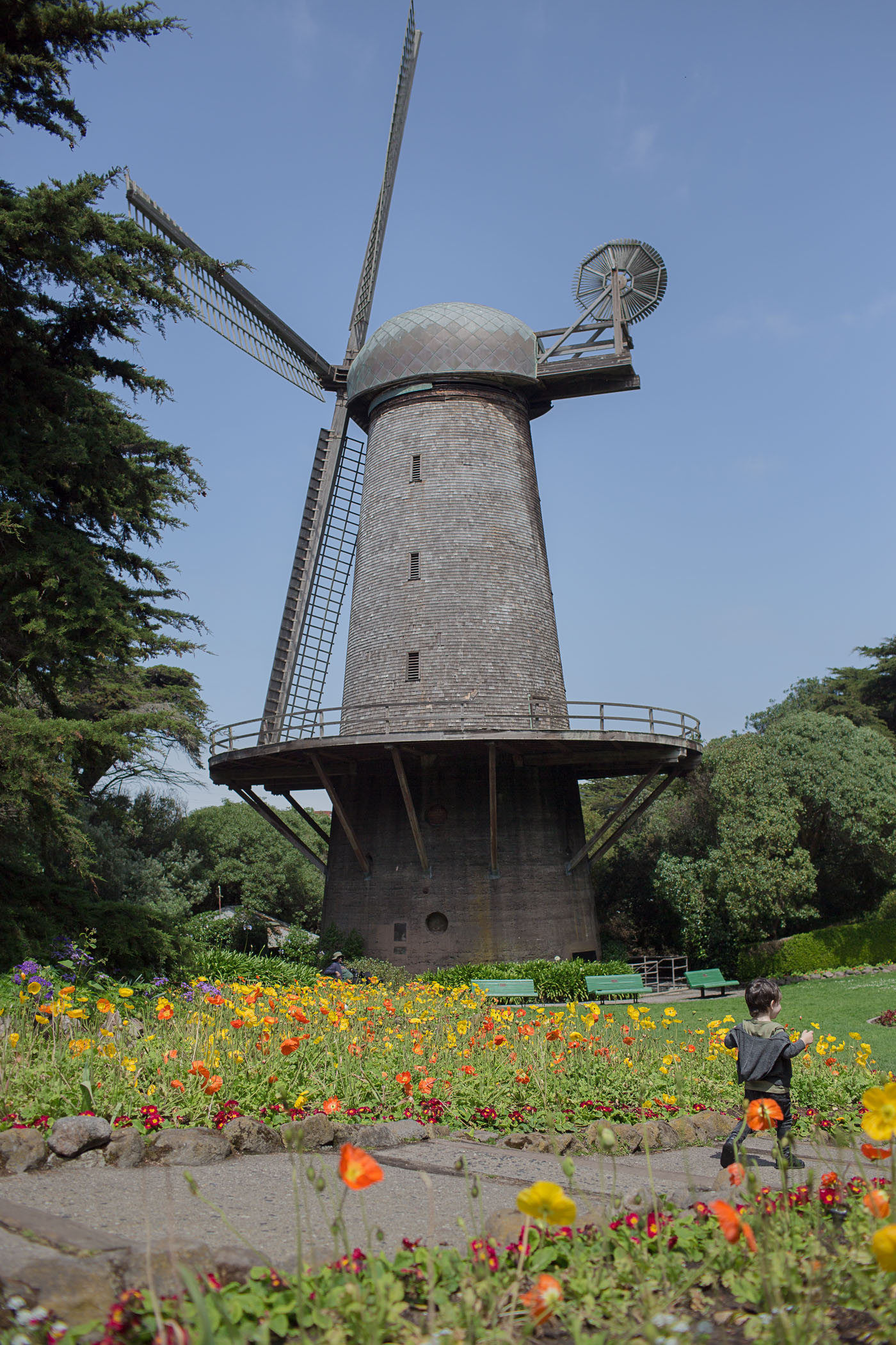 Dutch Windmill in San Francisco's Golden Gate Park, part of our 2015 year in review at www.hejdoll.com