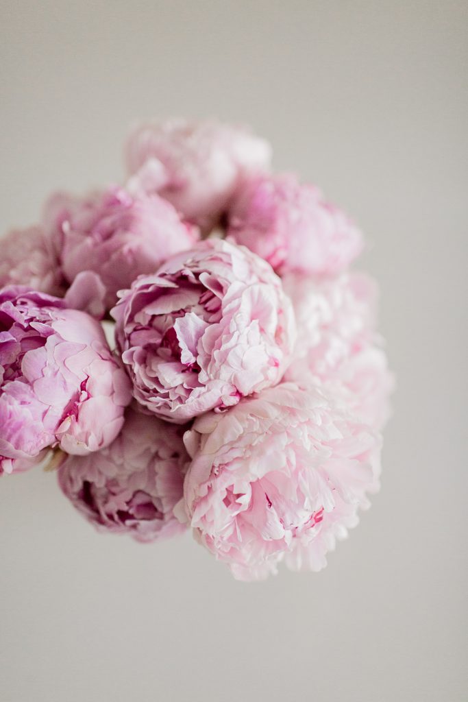 Pink Peonies - Hej Doll | Simple modern living by Jessica Doll.