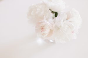 White peonies in a vase.