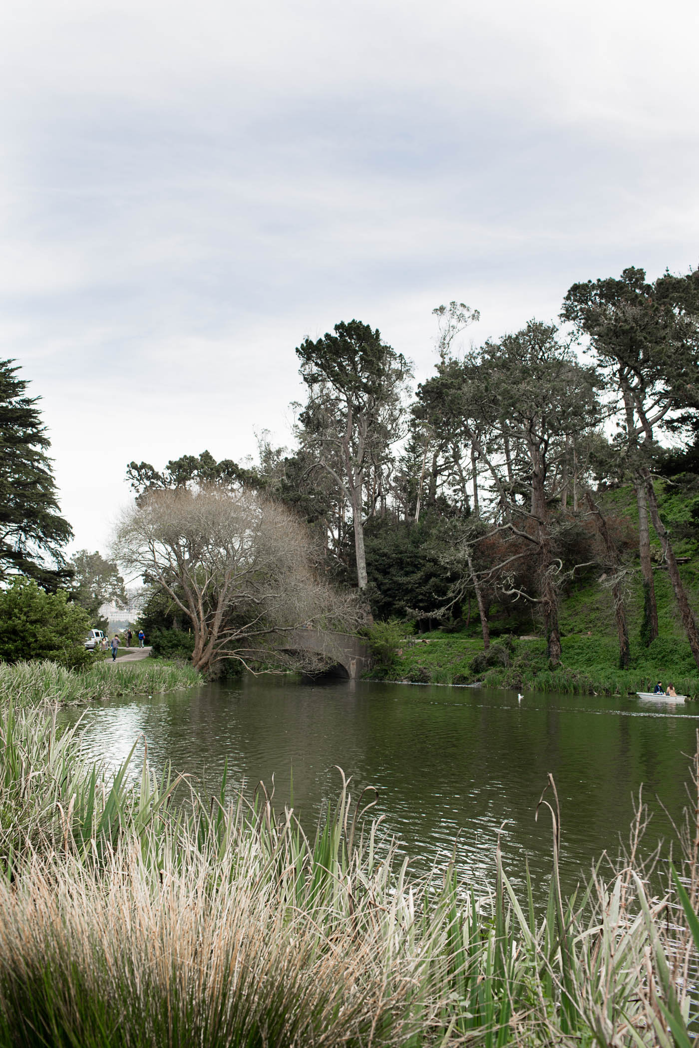 Stow Lake Boathouse and Pedal Boats in Golden Gate Park