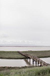 Don Edwards National Wildlife Refuge - Hej Doll | Simple modern living