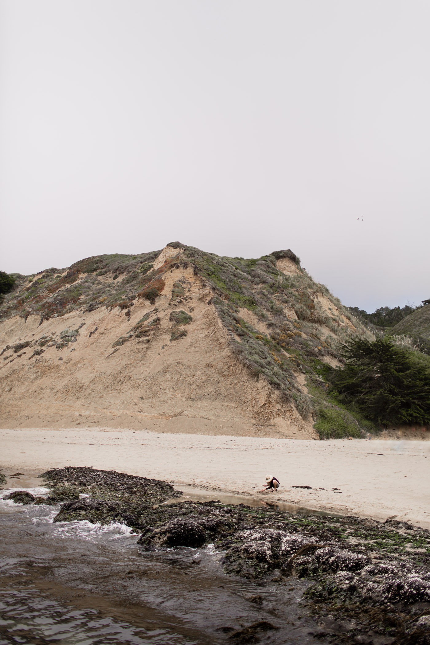 Greyhound Rock Beach near Davenport, California