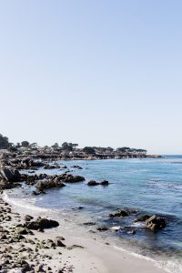 12 Hours in Monterey City Guide