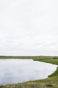 Pond at Hotel Laki near Kirkjubæjarklaustur in Southern Iceland