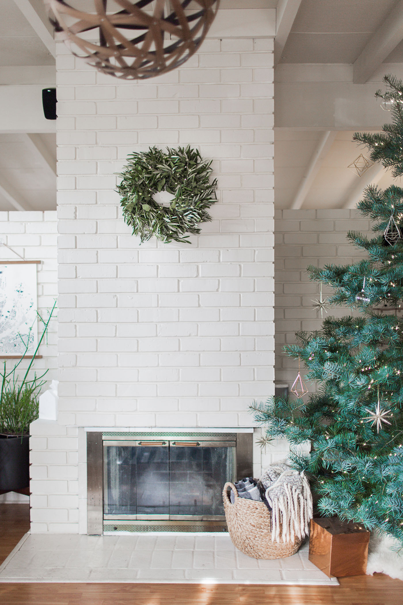 Tips to decorate with live plants during the Holiday season.