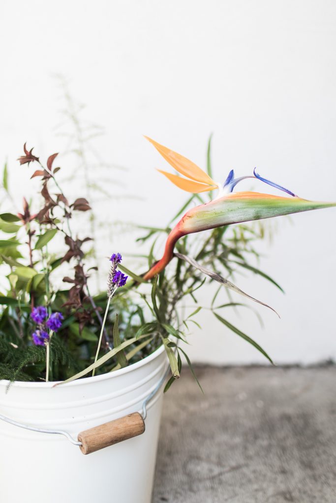 Foraged florals, tips for creating a flower arrangement from your yard.