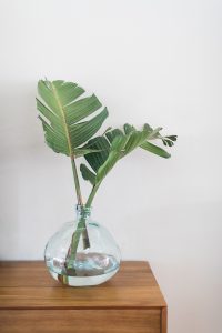 Spring decorating, oversized tropical leaves.
