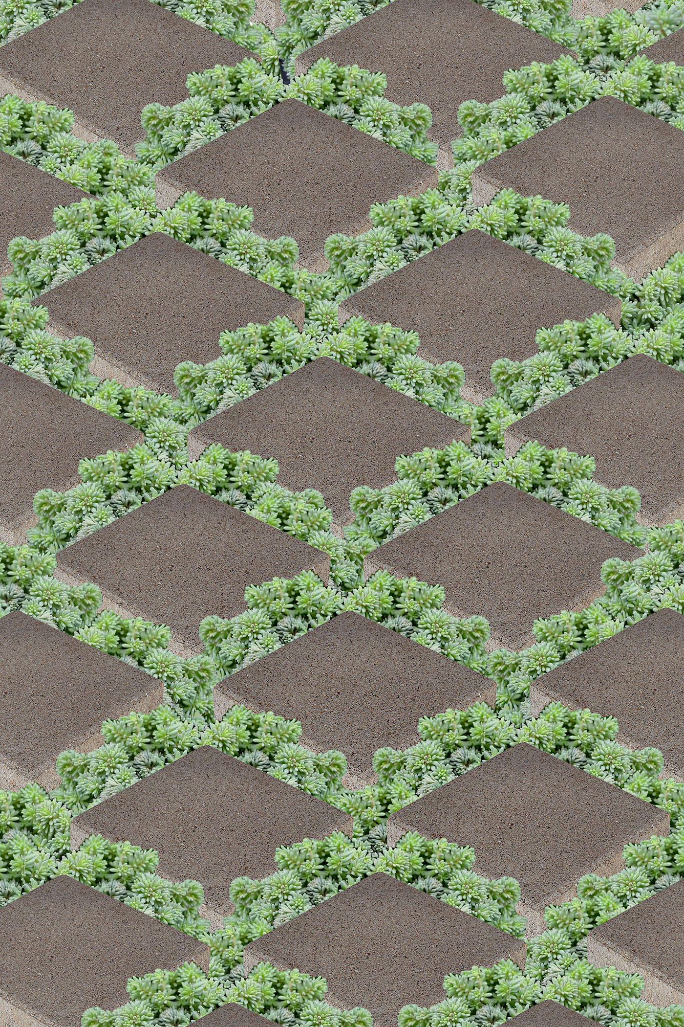 Succulent paver grid patio featured in a modern tropical moodboard.