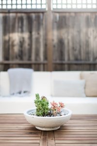 A modern-tropical California outdoor living Room.