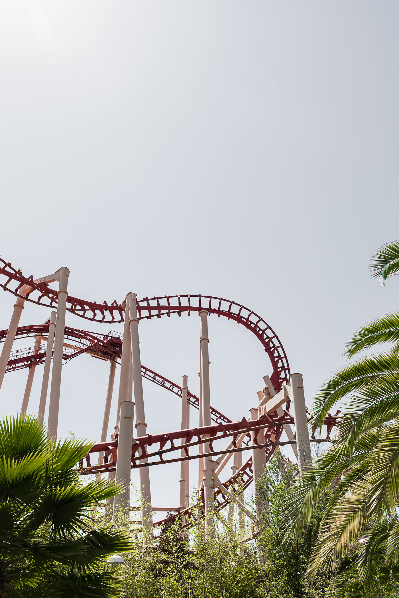 6 Tips for Visiting a Theme Park