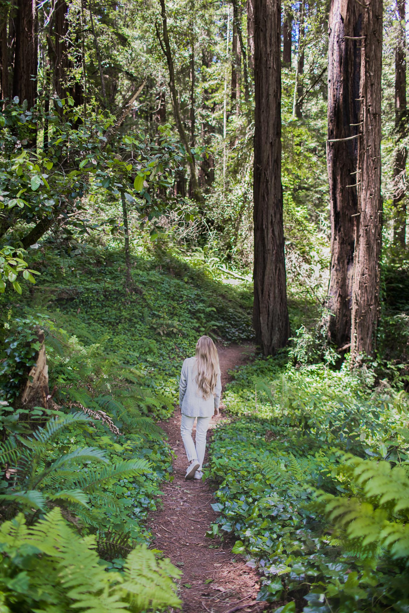 A Very Carmel Anniversary, hiking at the Forest of Nisene Marks during our romantic 36 hour getaway in Carmel, California. Includes my packing list, itinerary, and hotel review.