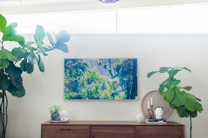 I got rid of my TV. - A look at Samsung's new "The Frame" television. It's a TV that functions as art in your home.